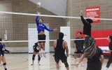 Co-ed Volleyball 